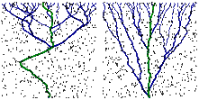 Boltz, Kierfeld, Phys. Rev. E 86, 060102(R) (2012)